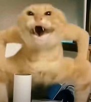 跟着圆头耄耋学跳舞，是日本美少女成为神人的必修课