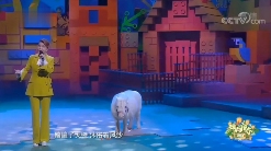 再度翻红的乌兰图雅,成了新的网络抽象圣体