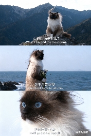 用AI生成的海边氛围三宫格,怎么内容变得越来越抽象了?