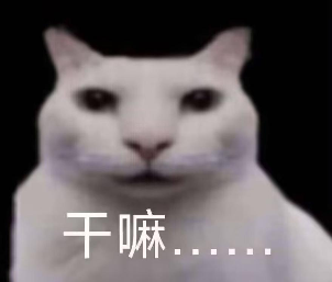 “没建模没经济”的“干嘛猫”,就不能收获属于自己的幸福吗?