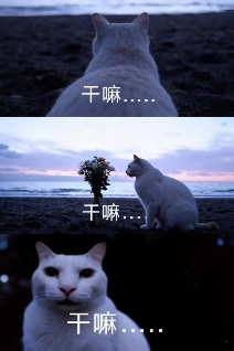 用AI生成的海边氛围三宫格,怎么内容变得越来越抽象了?