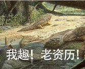 用AI生成的海边氛围三宫格,怎么内容变得越来越抽象了?