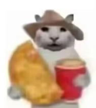 “没建模没经济”的“干嘛猫”,就不能收获属于自己的幸福吗?