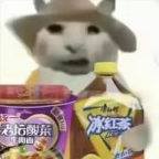 “没建模没经济”的“干嘛猫”,就不能收获属于自己的幸福吗?