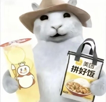 “没建模没经济”的“干嘛猫”,就不能收获属于自己的幸福吗?