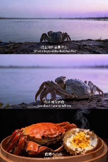 用AI生成的海边氛围三宫格,怎么内容变得越来越抽象了?