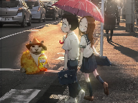 “没建模没经济”的“干嘛猫”,就不能收获属于自己的幸福吗?