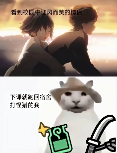 “没建模没经济”的“干嘛猫”,就不能收获属于自己的幸福吗?