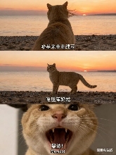 用AI生成的海边氛围三宫格,怎么内容变得越来越抽象了?