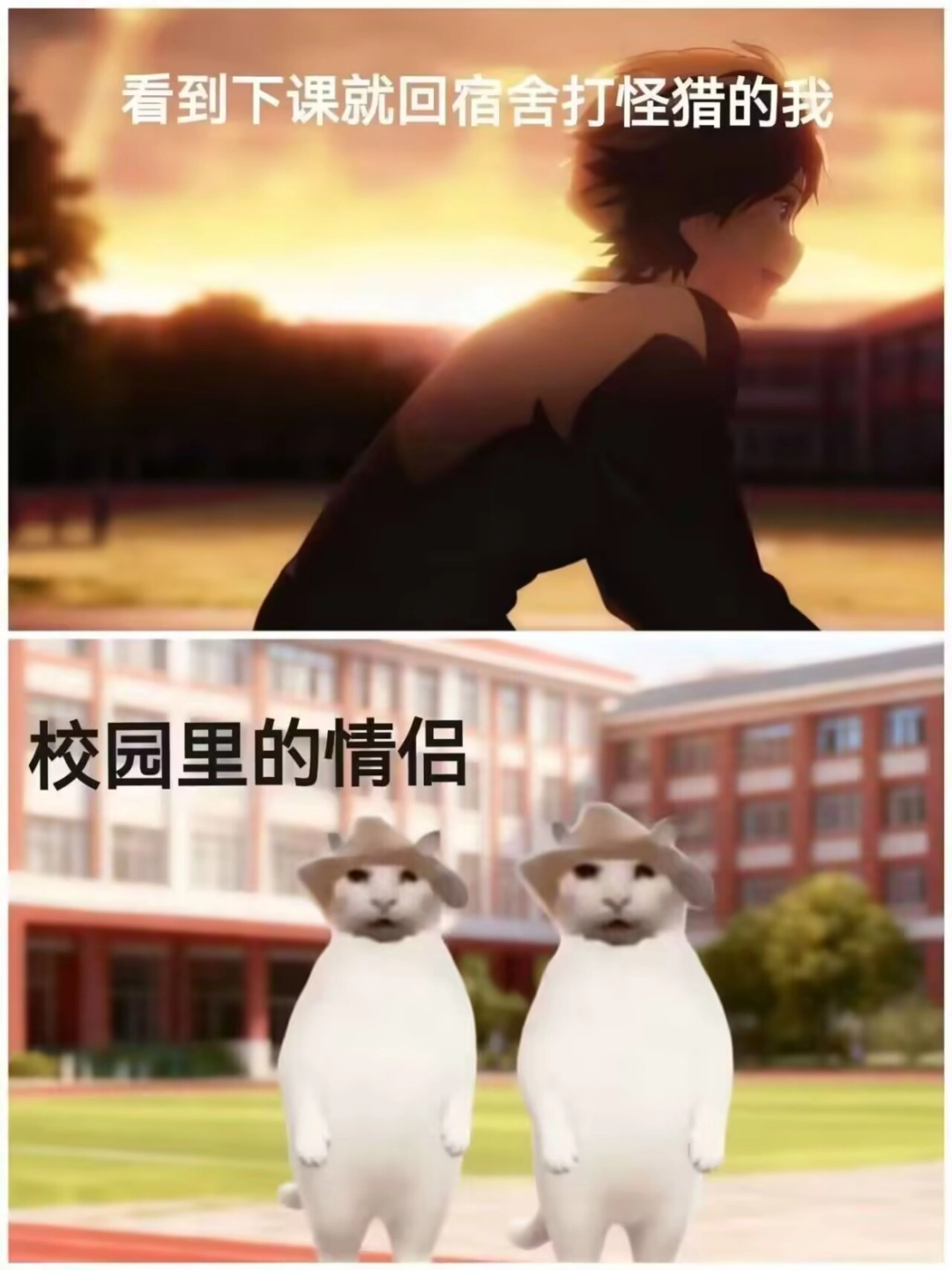 “没建模没经济”的“干嘛猫”,就不能收获属于自己的幸福吗?