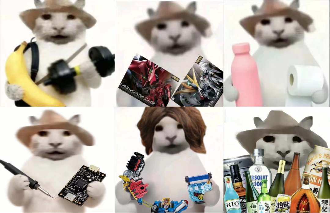 “没建模没经济”的“干嘛猫”,就不能收获属于自己的幸福吗?