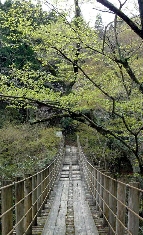 论坛贴吧年代最恐怖的鬼图，如今终于找到了出处