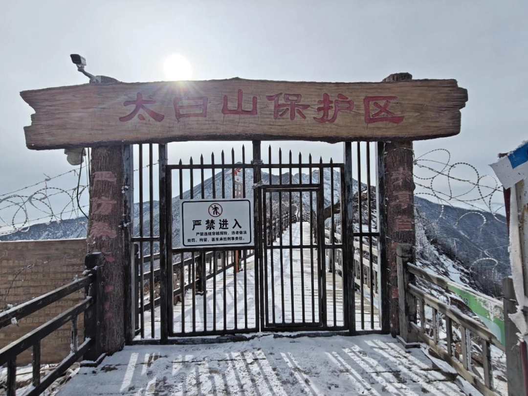 别特么去鳌太线送人头了，是耳朵聋吗？