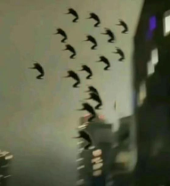 家人们,在人中下面的器官塞进劲辣鸡腿堡会很舒服