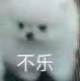 一场胶佬退坑、筹钱治病的骗局，硬是把奥迪双钻骗成了小丑