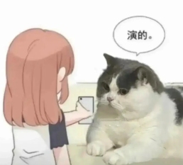 现在互联网上最火的猫，从“耄耋”变成了“萝卜纸巾猫”