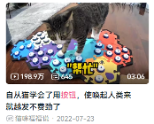 现在互联网上最火的猫，从“耄耋”变成了“萝卜纸巾猫”