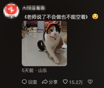 现在互联网上最火的猫，从“耄耋”变成了“萝卜纸巾猫”