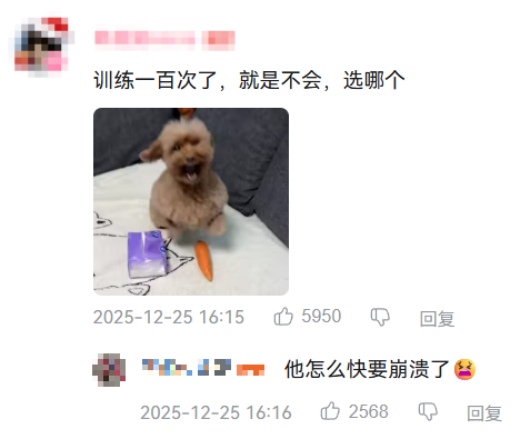 现在互联网上最火的猫，从“耄耋”变成了“萝卜纸巾猫”