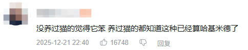 现在互联网上最火的猫，从“耄耋”变成了“萝卜纸巾猫”