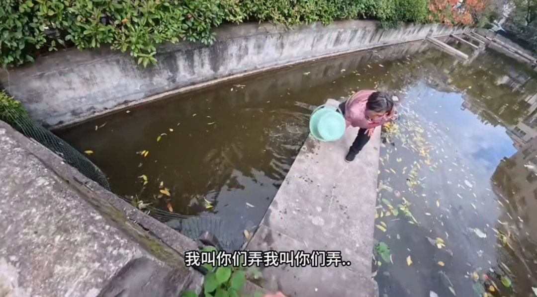 最新的顶级智斗爽剧，是钓鱼佬贴脸嘲讽放生大姨