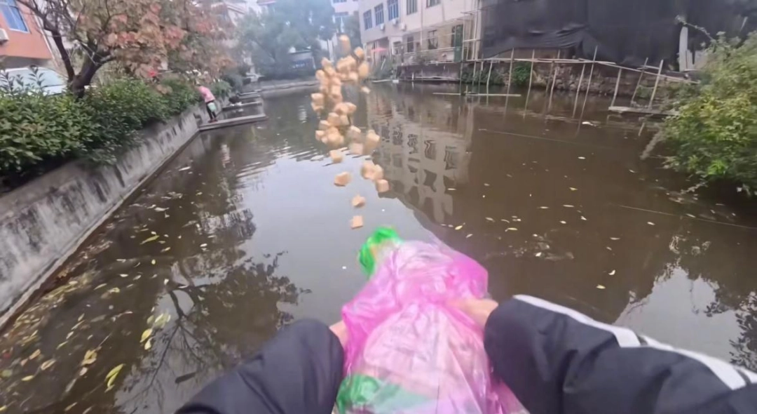 最新的顶级智斗爽剧，是钓鱼佬贴脸嘲讽放生大姨