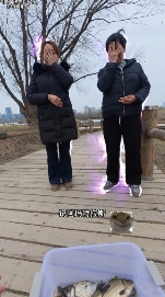 最新的顶级智斗爽剧，是钓鱼佬贴脸嘲讽放生大姨