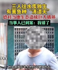 最新的顶级智斗爽剧，是钓鱼佬贴脸嘲讽放生大姨