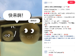 东方树叶变质长出的茶菌，怎么就成为了超越哈基米的宠物界顶流？